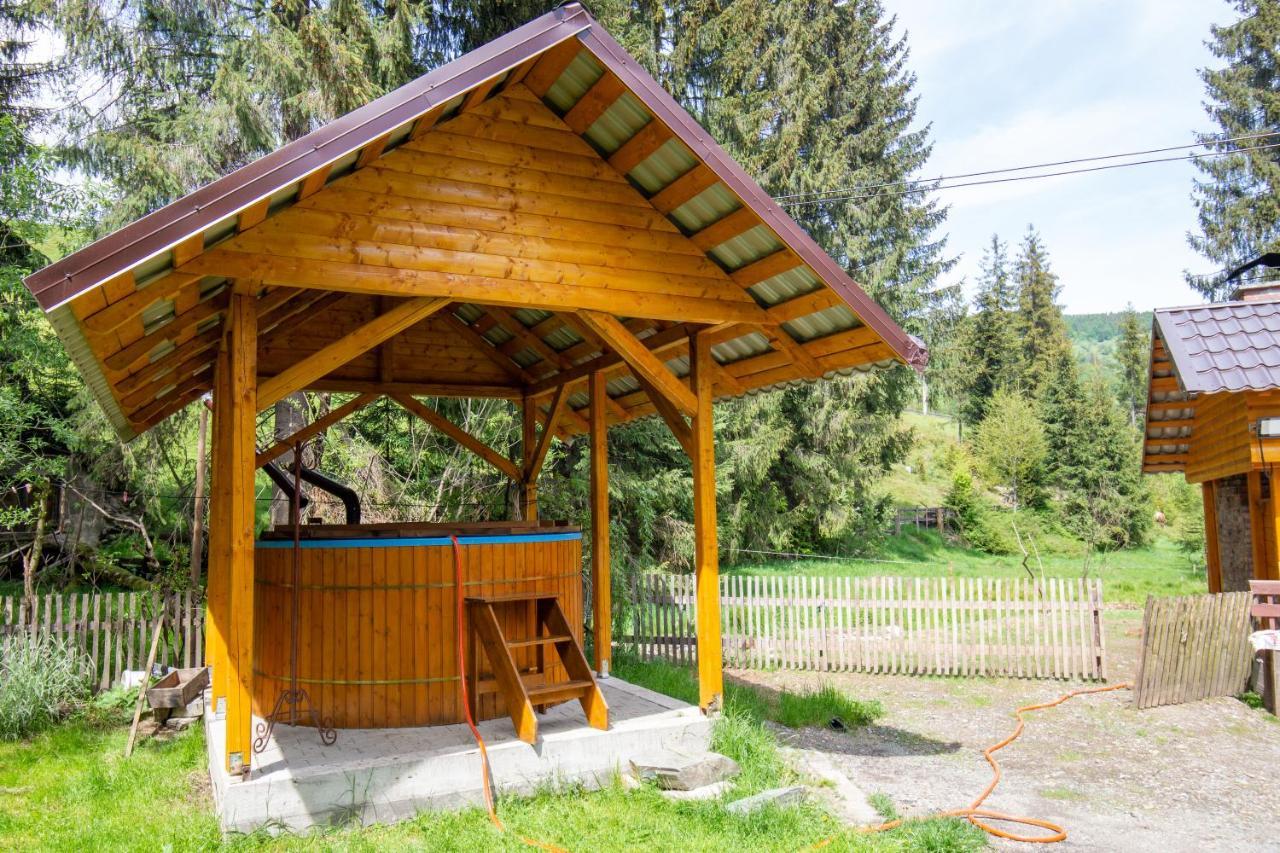 Pensiunea Viorica Arieseni Luaran gambar